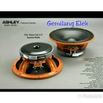 Speaker Ashley 10 Inch