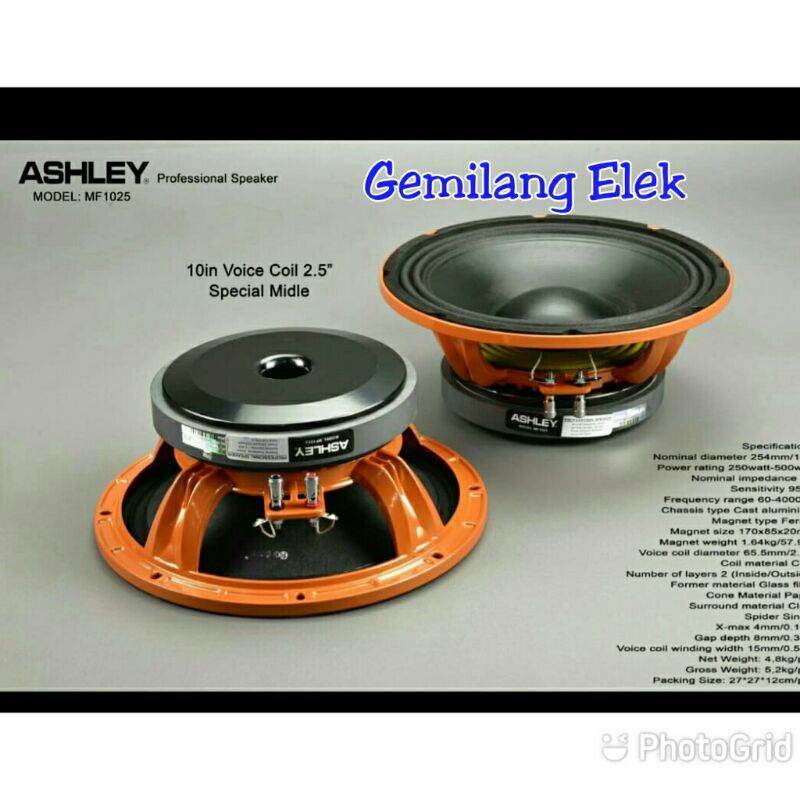 Speaker Ashley 10 Inch