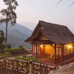 Desain Rumah Di Hutan