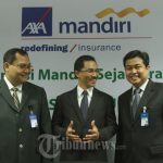 Asuransi Mandiri Sejahtera Mapan