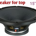 Speaker 12 Inch Rcf