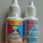 Obat Penumbuh Bulu Kucing