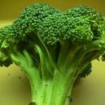 Tanaman Obat Kanker Payudara