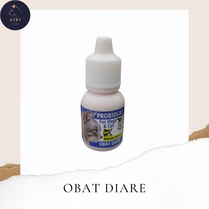 Obat Diare Untuk Kucing Obat Diare Untuk Kucing