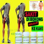 Obat Sakit Boyok Obat Sakit Boyok