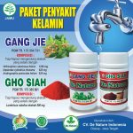 Obat Herbal Infeksi Saluran Kemih