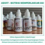 Obat Penambah Asi