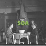 Kepanjangan Dari Paud