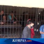 Upaya Untuk Menghilangkan Obat Dari Pecandu Narkoba Disebut