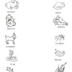 Kegiatan Paud Tema Binatang