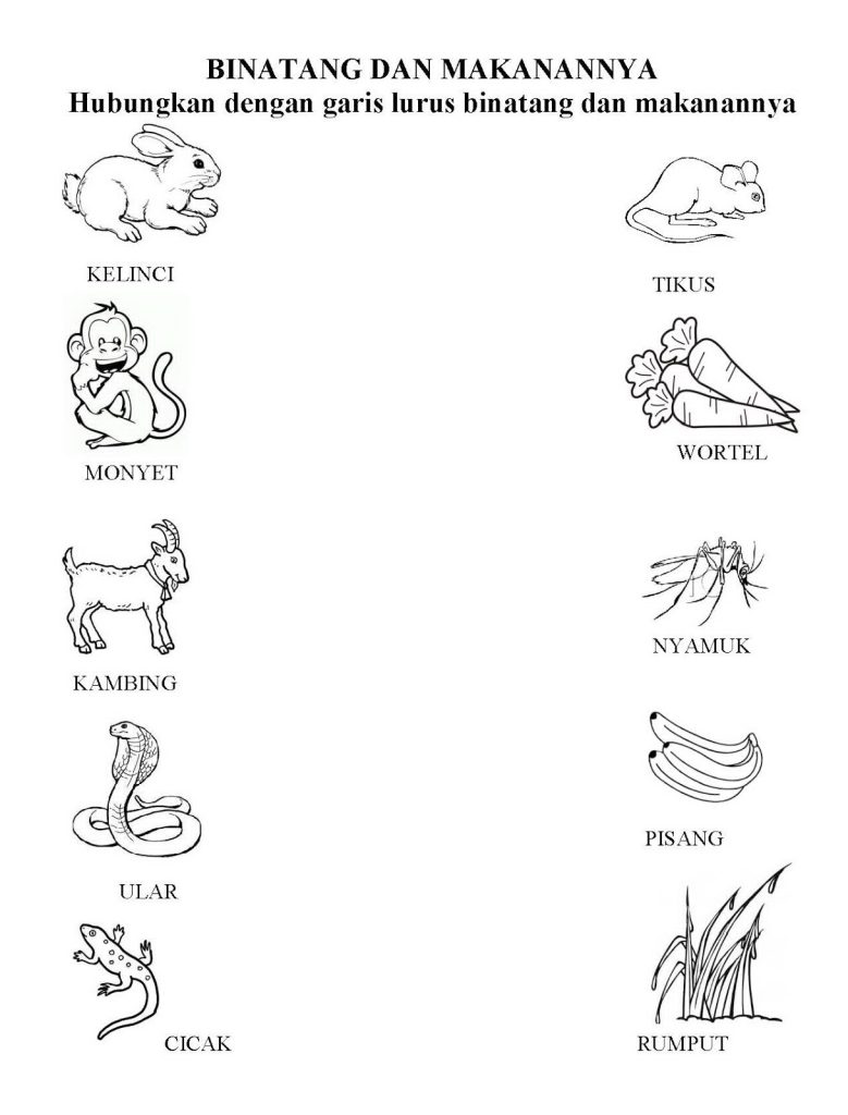 Kegiatan Paud Tema Binatang Kegiatan Paud Tema Binatang