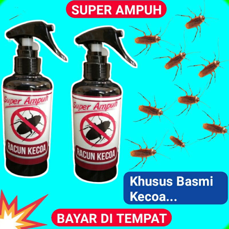 Obat Pembasmi Kecoa Obat Pembasmi Kecoa