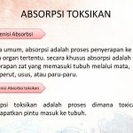 Absorpsi Obat Adalah