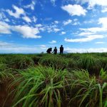 Wisata Di Pesawaran Wisata Di Pesawaran