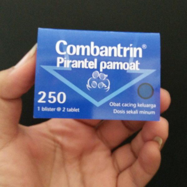 Obat Cacing Untuk Orang Dewasa