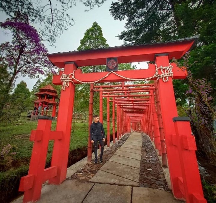 Wisata Jepang Bunga Sakura