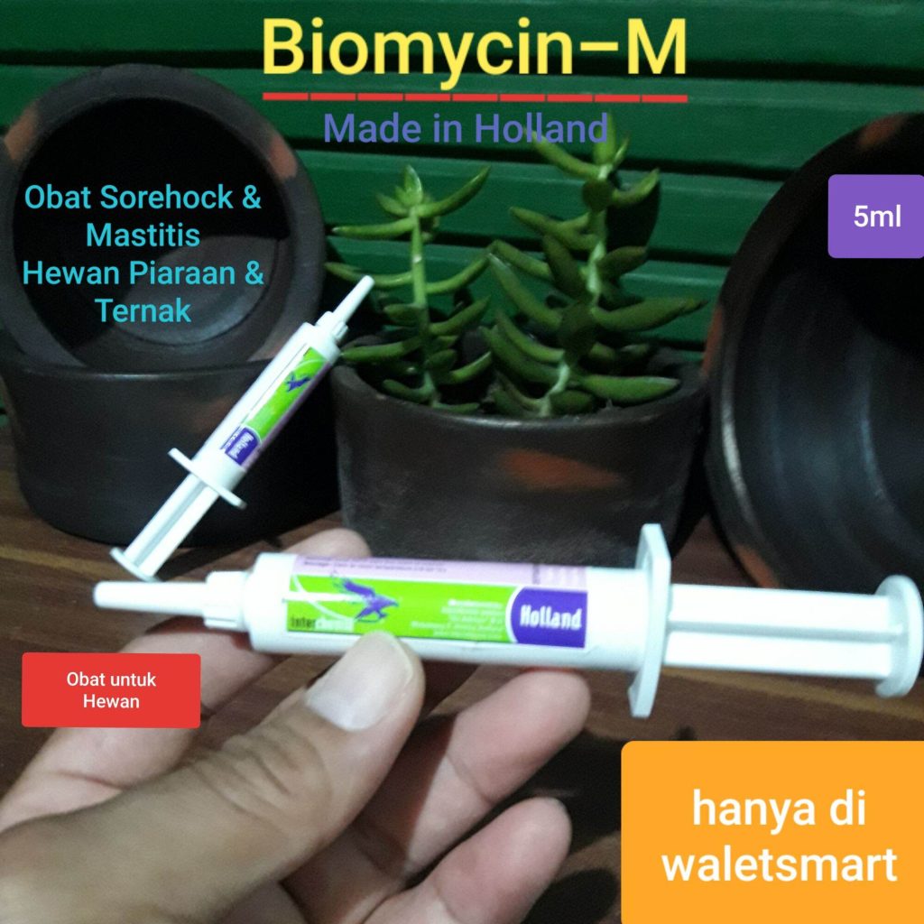 Obat Mastitis