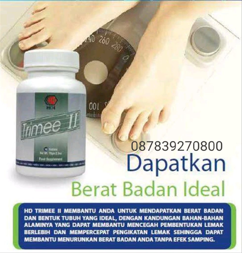 Obat Kurus Alami Obat Kurus Alami