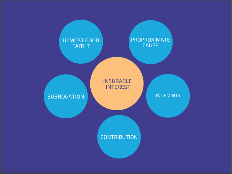 7 Prinsip Asuransi 7 Prinsip Asuransi