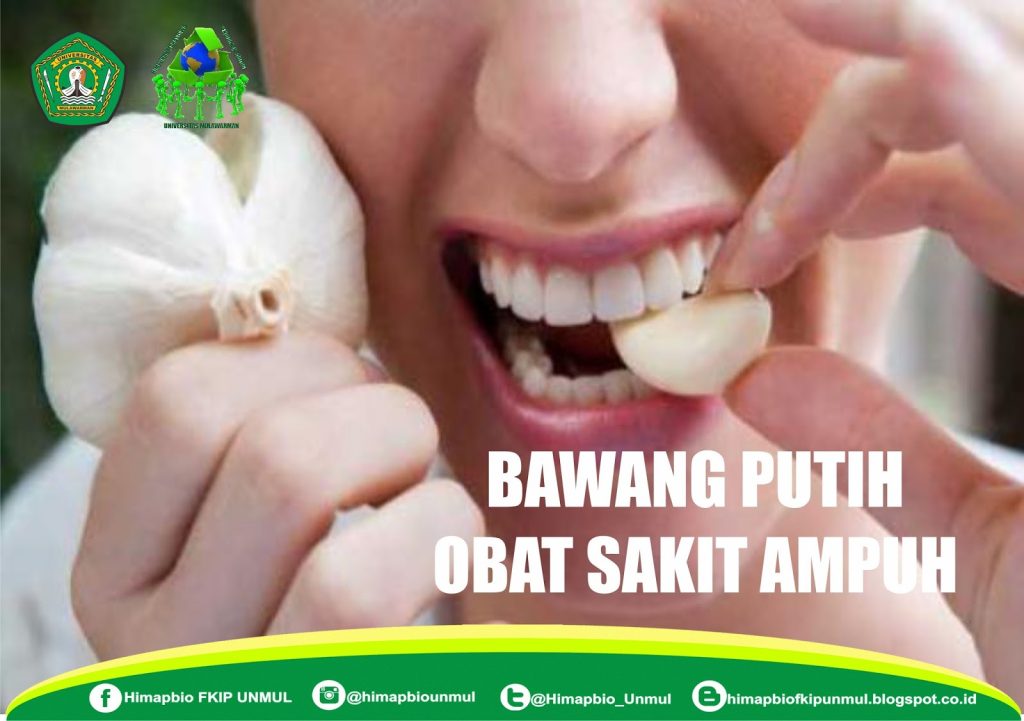 Bawang Putih Obat Sakit Gigi