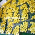 Obat Eksimer Obat Eksimer