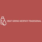 Obat Giring Merpati Tradisional
