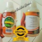 Obat Infeksi Ginjal