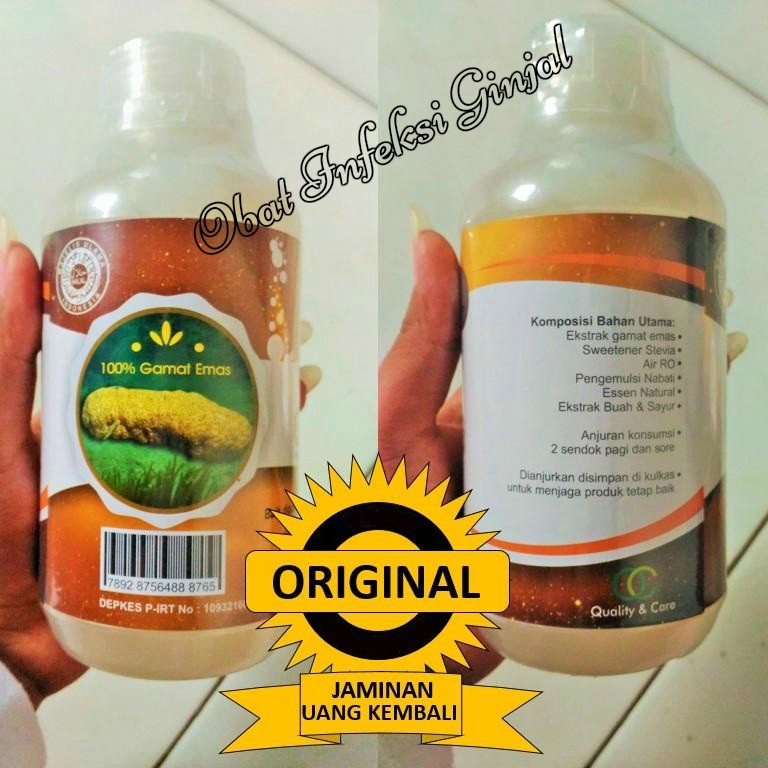 Obat Infeksi Ginjal