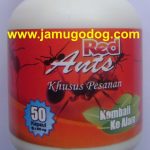 Buah Untuk Obat Liver