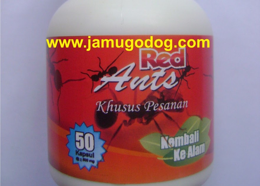 Buah Untuk Obat Liver Buah Untuk Obat Liver