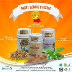 Obat Prostat Mosehat