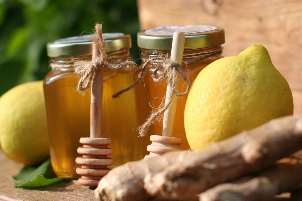 Obat Alami Sakit Ginjal