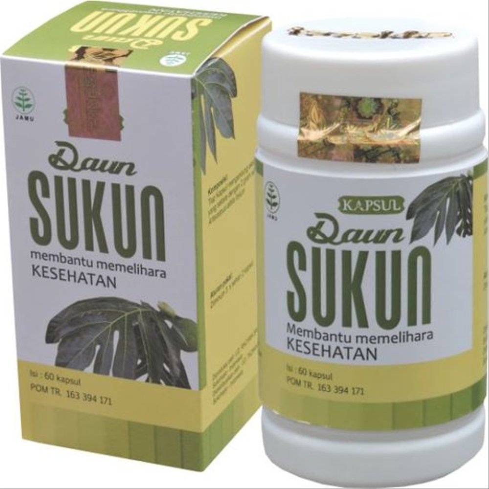 Obat Herbal Untuk Ginjal