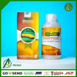 Obat Untuk Melancarkan Kencing