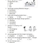 Soal Pts Pjok Kelas 2 Semester 1