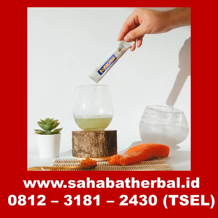 Sopalpha Obat Apa Sopalpha Obat Apa