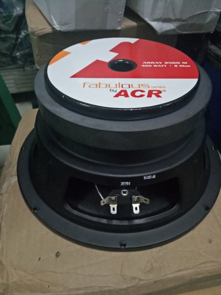 Speaker Acr 10 Inch Middle