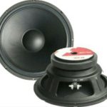 Speaker Acr Fabulous 12 Inch 75125