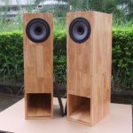 Speaker 8 Inch Full Range Watt Besar