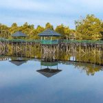 Wisata Di Kalimantan Tengah