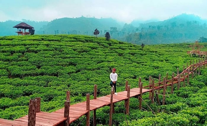 Jember Wisata Jember Wisata