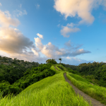 Tempat Wisata Yang Murah