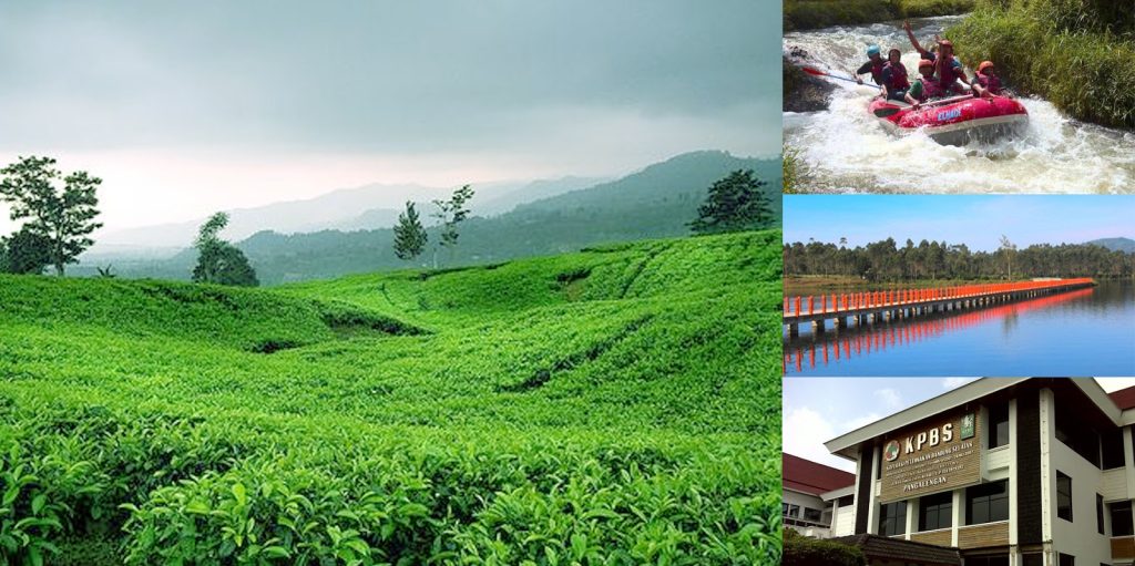 Wisata Kebun Teh Pangalengan