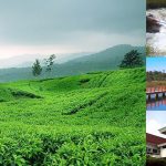 Wisata Kebun Teh Pangalengan