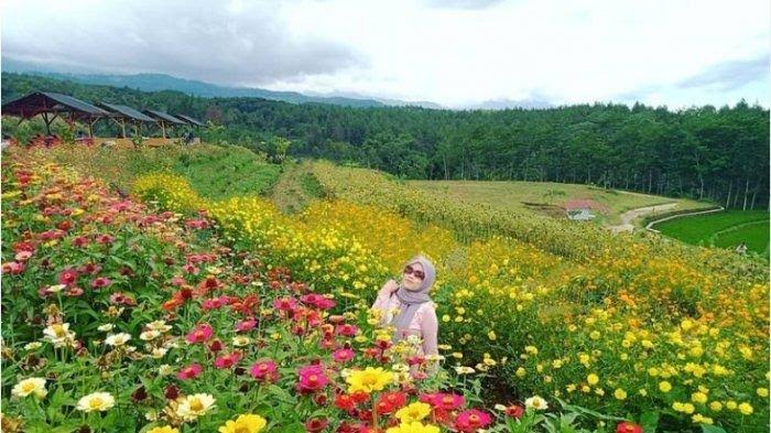 Wisata Mojokerto Viral Wisata Mojokerto Viral