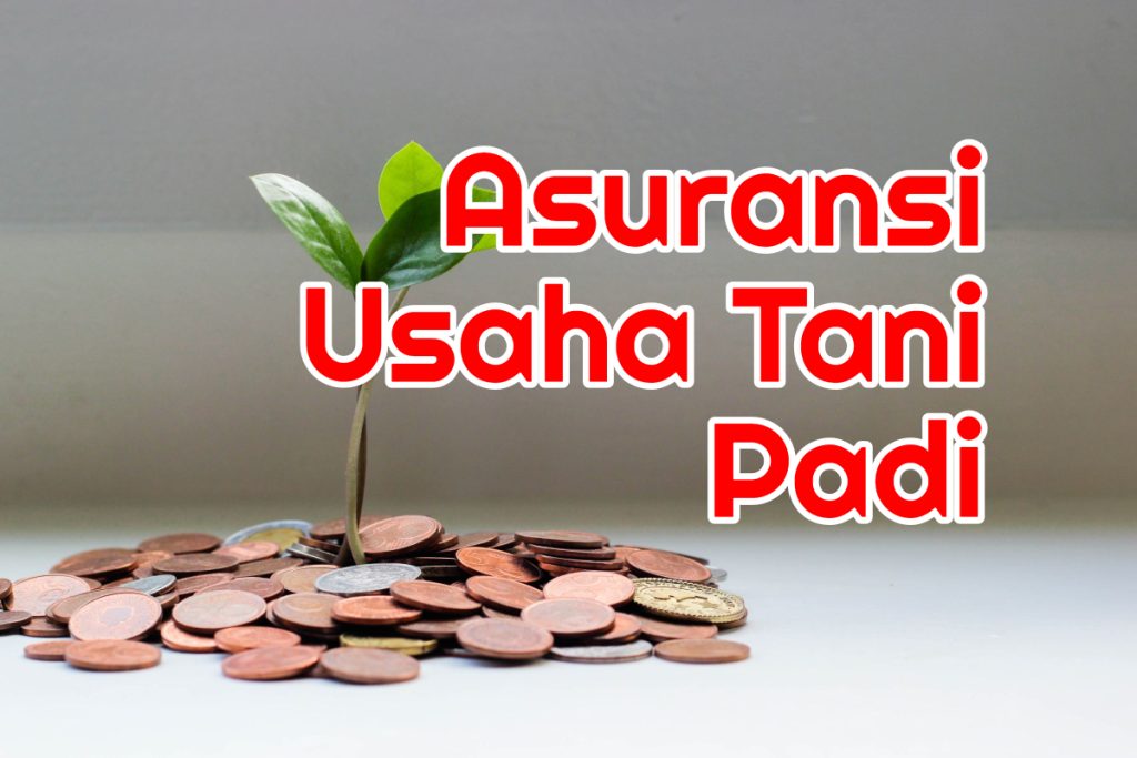 Usaha Asuransi Umum Adalah