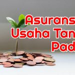 Usaha Asuransi Umum Adalah