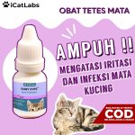 Obat Mata Buat Kucing