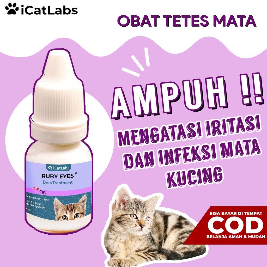 Obat Mata Buat Kucing