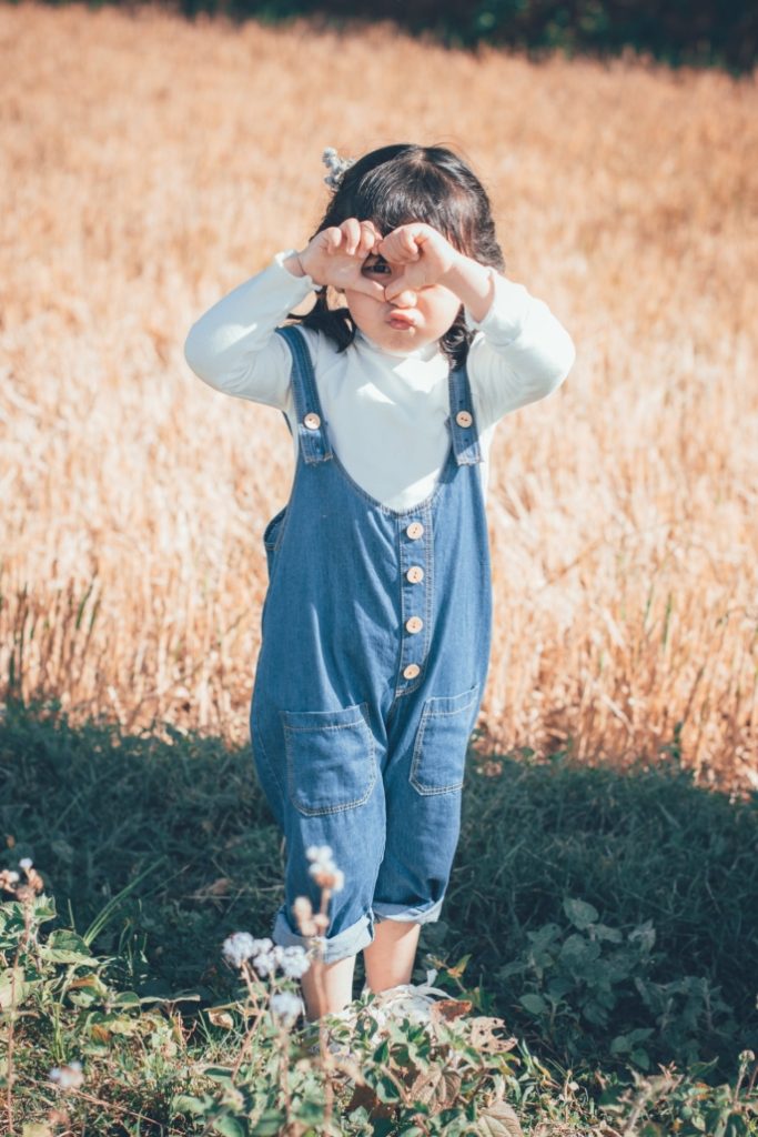 Asuransi Term Life Aia